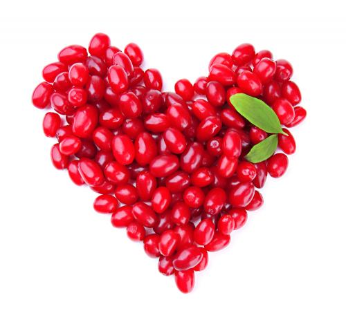 Все о кизиле польза. Польза кизила 11 Все о кизиле польза. Польза кизила 11