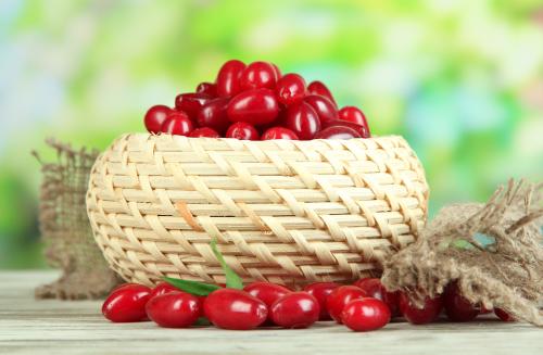 Все о кизиле польза. Польза кизила 12 Все о кизиле польза. Польза кизила 12