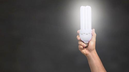 Весенние советы по уходу за клубникой: как подготовиться к сезону 02 Весенние советы по уходу за клубникой: как подготовиться к сезону 02