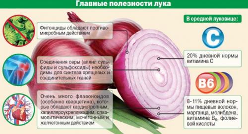Чем отличается фиолетовый лук от обычного. Описание фиолетового лука