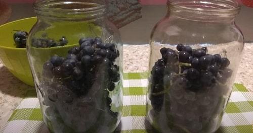 Виноград Изабелла рецепты на зиму. Компот из винограда Изабелла на зиму — простые рецепты на 3 литровую банку