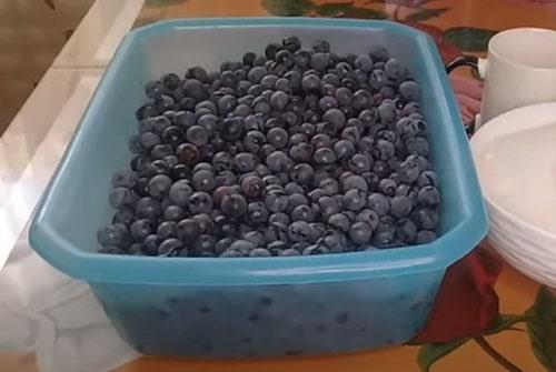 Виноград Изабелла рецепты на зиму. Компот из винограда Изабелла на зиму — простые рецепты на 3 литровую банку