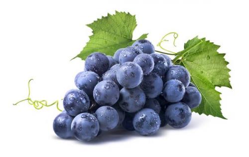 Другие полезные свойства винограда Изабелла. Состав и калорийность