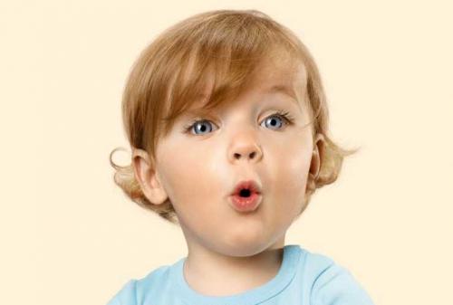 Терень полезные свойства. Польза терна и его вред: 125 фото растения, обзор лечебных рецептов и вариантов применения