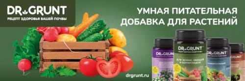 Как сушить боярышник на воздухе. Как сушить ягоды боярышника в домашних условиях