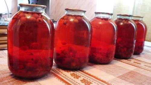 Когда собирать лист боярышника. Когда собирать плоды боярышника 03 Когда собирать лист боярышника. Когда собирать плоды боярышника 03