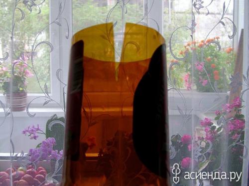 Как снимать яблоки с дерева. Можно ли снять неповрежденными яблоки с верхушки яблони? Да запросто!