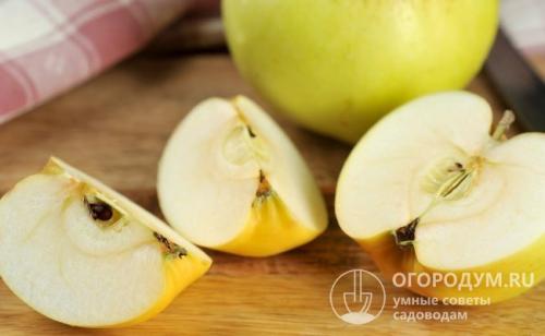 Как определить антоновку. Характеристики плодов
