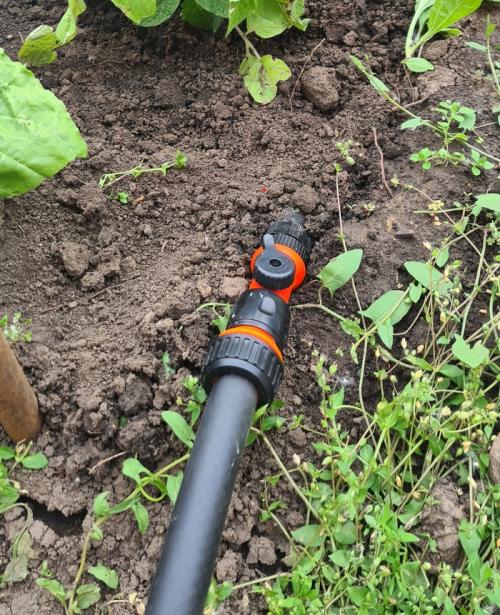 Можно ли автоматизировать капельный полив, и как это сделать. Делюсь огородным опытом (капельный полив)