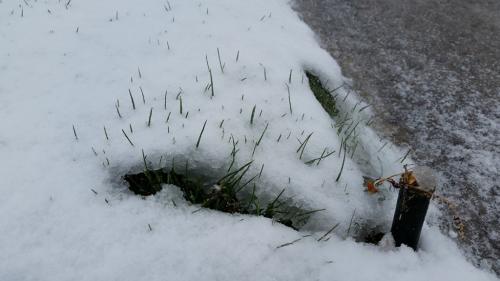 Создай вечный капельный полив своими руками: простое и эффективное решение для твоего сада 08 Создай вечный капельный полив своими руками: простое и эффективное решение для твоего сада 08