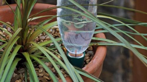 Можно ли использовать капельный полив для растений в помещении. Капельный полив для комнатных растений: принцип работы и советы по организации