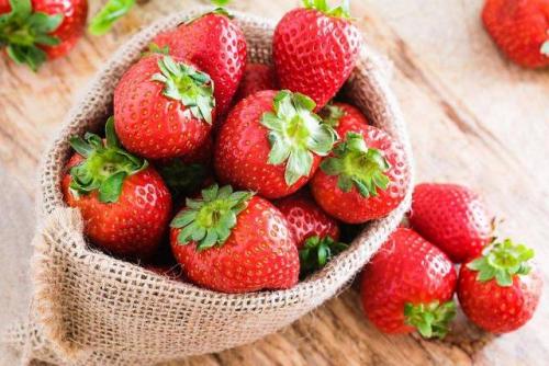 Посадка клубники в октябре 2021 года: сроки, благоприятные дни, уход