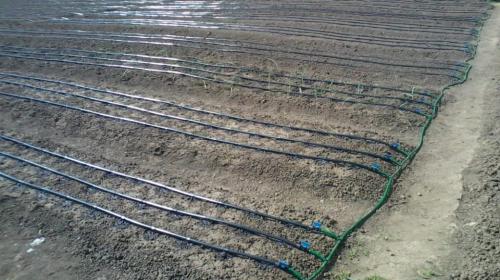 Как ухаживать за системой капельного полива. Капельный полив: требования к воде при орошении