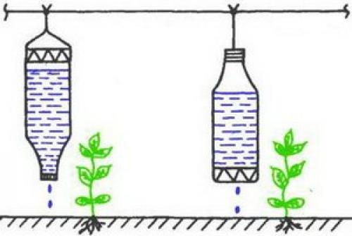 Капельный полив из бутылок: экологичное решение для вашего сада 01 Капельный полив из бутылок: экологичное решение для вашего сада 01