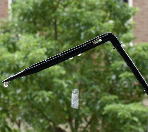 Сколько времени требуется для изготовления системы капельного полива. Делюсь огородным опытом (капельный полив)