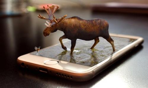 Как обеспечить защиту системы от морозов. Как в зимний период минимизировать негативное влияние холода на смартфон, планшет или ноутбук