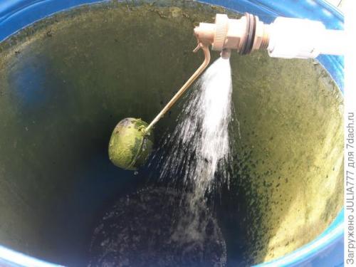 Как вы убедились в эффективности работы капельного полива. Капельный полив в теплице - моё спасение