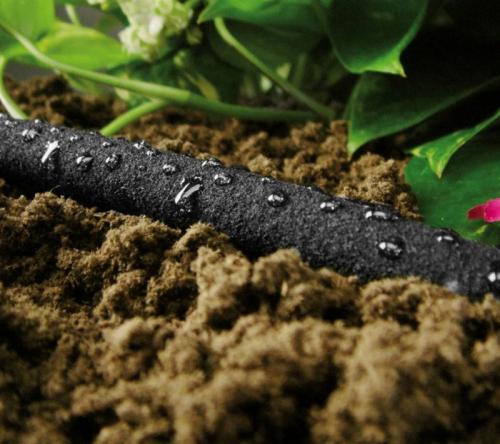 Какие плюсы и минусы у самодельного капельного полива. Делюсь огородным опытом (капельный полив)