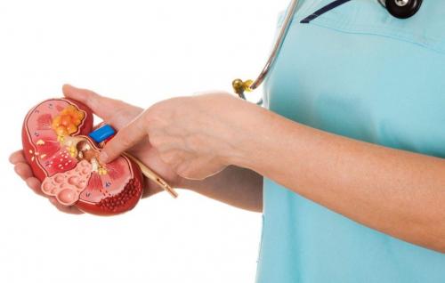 15 самых полезных свойств крыжовника. Полезные свойства ягод и листьев крыжовника для организма и народные рецепты 03