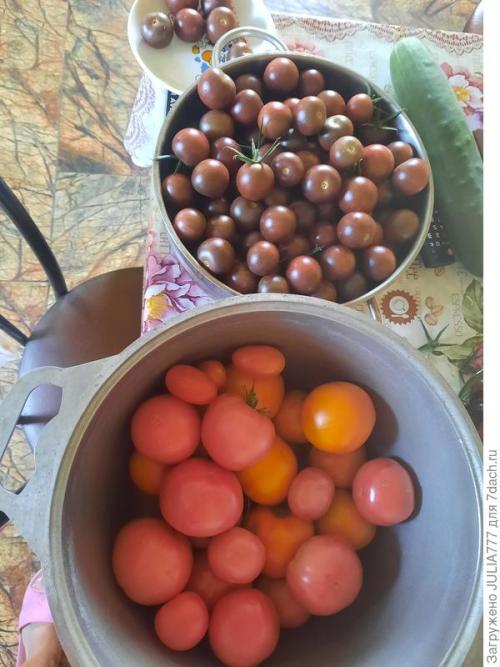 Почему стоит использовать капельный полив в теплице. Капельный полив в теплице - моё спасение