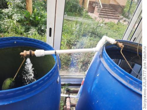 Почему стоит использовать капельный полив в теплице. Капельный полив в теплице - моё спасение