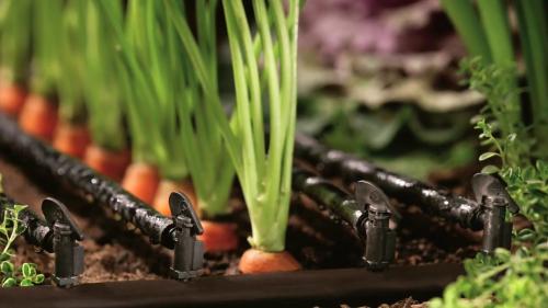 Как ухаживать за системой капельного полива, чтобы она работала долго. Капельный полив: требования к воде при орошении