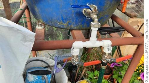 Почему стоит использовать капельный полив в теплице. Капельный полив в теплице - моё спасение