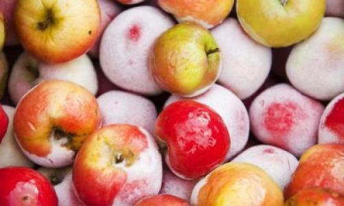 Длительное хранение яблок. Яблоки