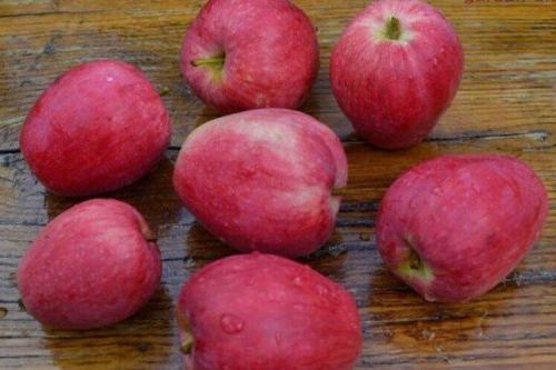 Этот многоликий сорт яблок. Лучшие сорта яблок: фото, названия и описания (каталог)