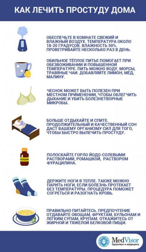 Как чеснок влияет на иммунную систему и может ли он предотвратить простуду. Помогает ли чеснок от простуды и гриппа? Научные данные