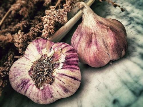 Вред чеснока. Диетолог объяснил, кому противопоказано есть чеснок